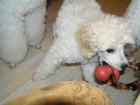 ...a ještě tohle jsem neměla...